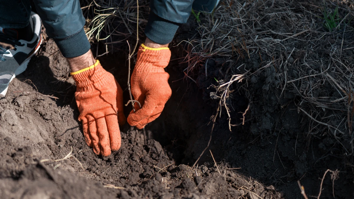 Les implications juridiques de la restauration des habitats naturels